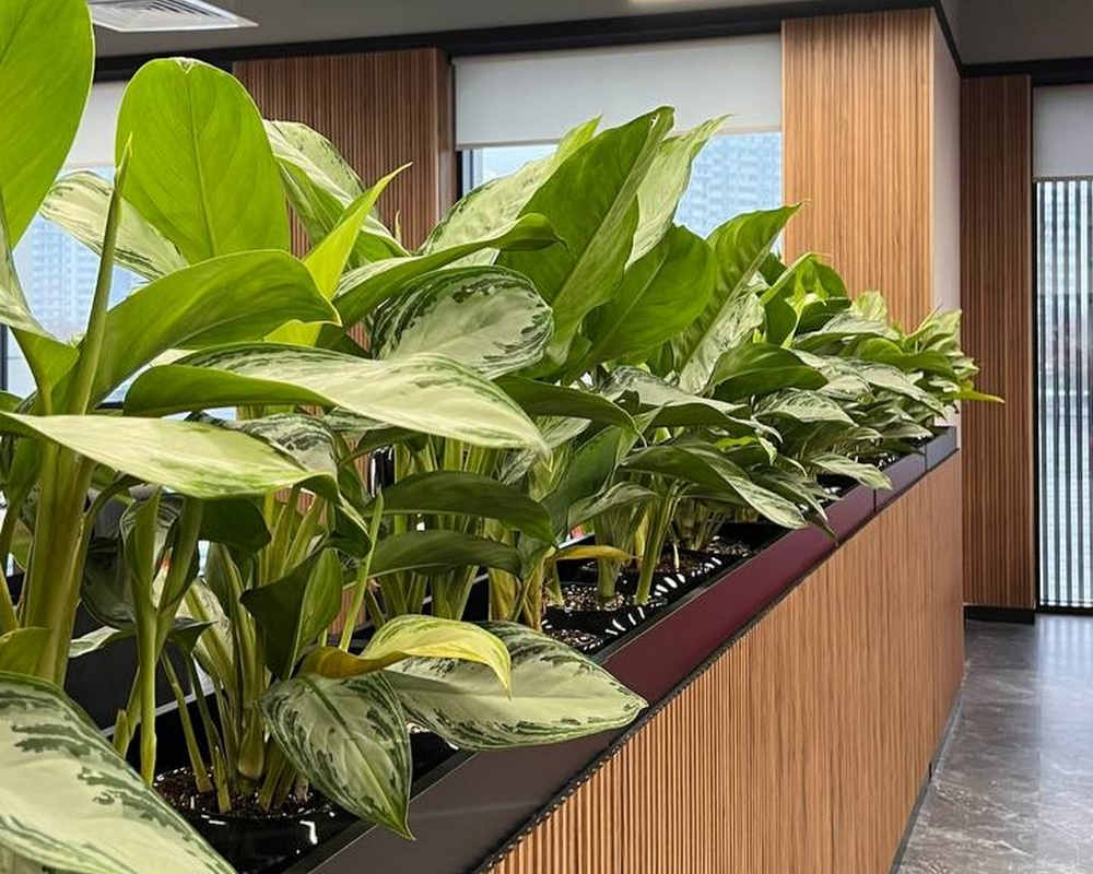 Панель МДФ ACUPAN 61.08.122505.95 зубья 12х122х2760 мм Эльм натуральный